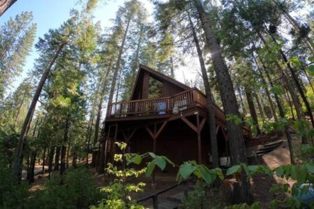 Вілла Pinecrest A-Frame Family Fun Near Dodge Ridge Long Barn Екстер'єр фото